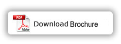download-brochure-button